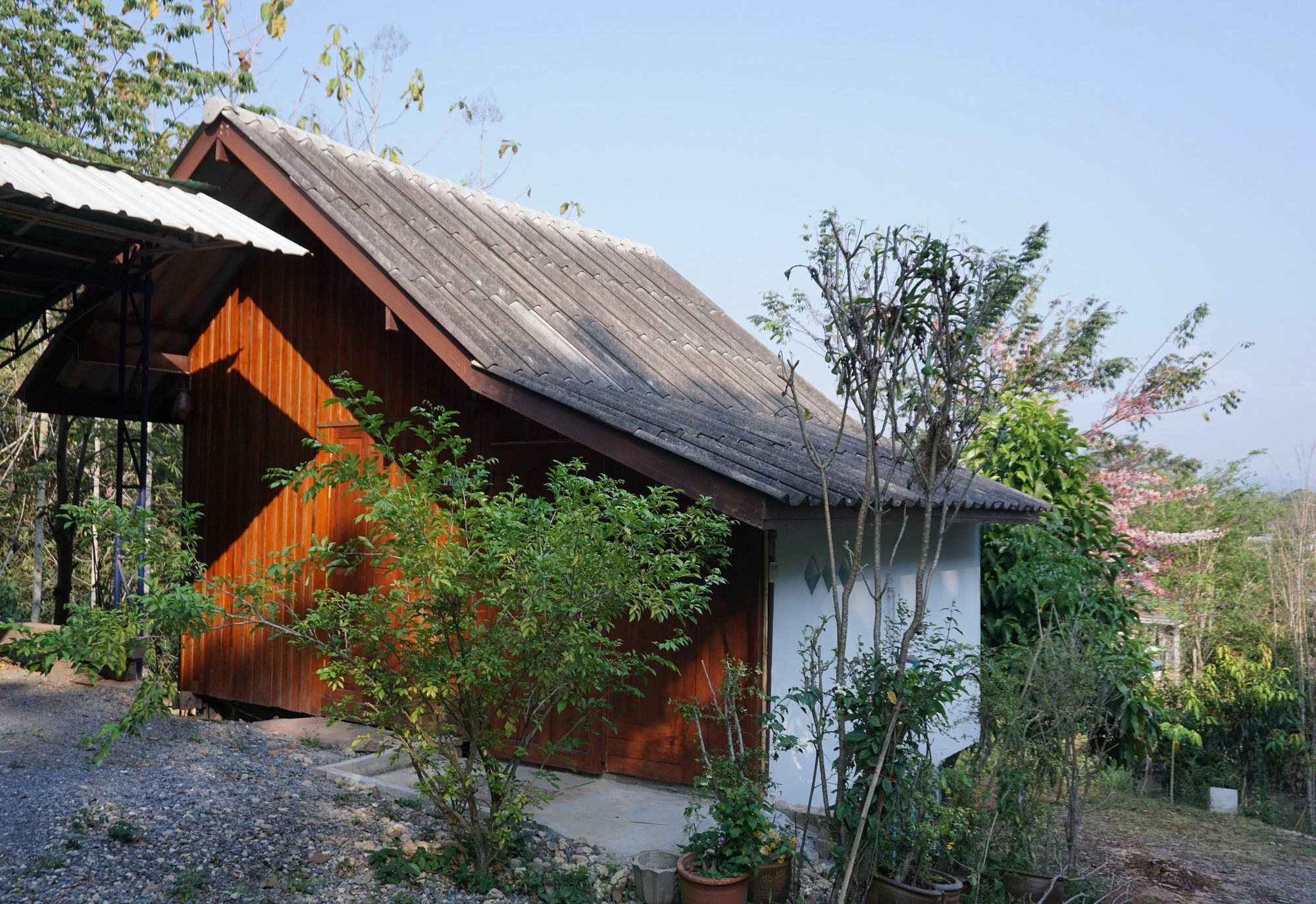 Settee Homestay Nan Esterno foto